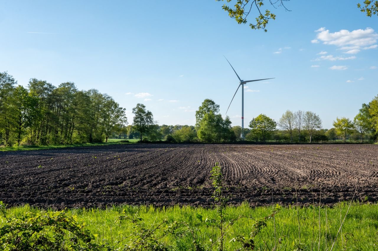 A wind turbine stands amidst a vast cultivated field with trees under a clear blue sky.